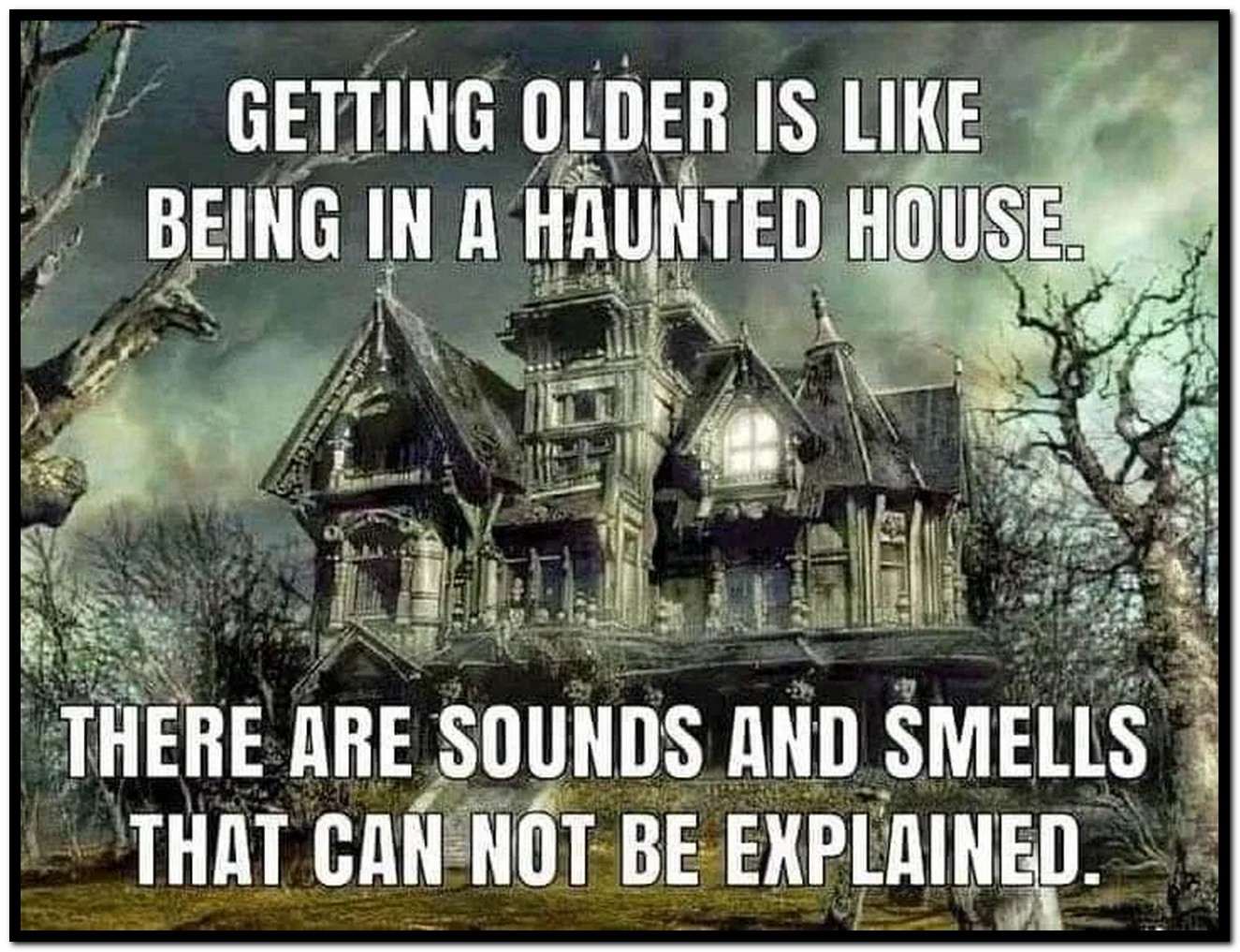 заброшенный дом. заброшенный дом в уимберли техас. старый деревянный домик. разрушенный дом. красивые дома восстановленные старые.