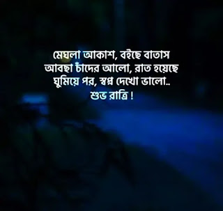 Bangla Good Night SMS 2024 (গুড নাইট, শুভ রাত্রি মেসেজ)