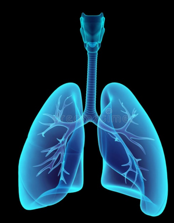 Respiratory System Problems - health medicine newstoday.com