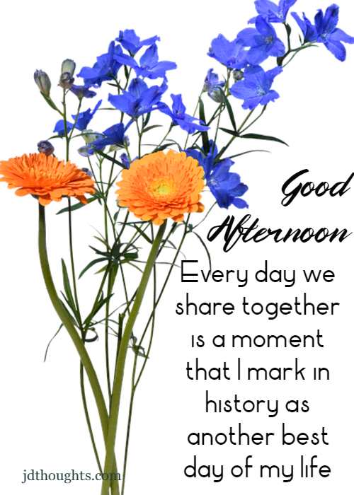 Good afternoon messages for her and girlfriends quotes and wishes images