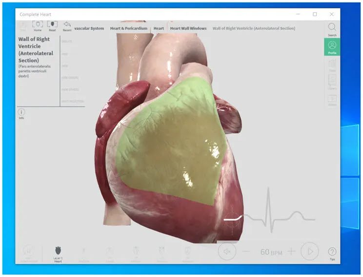 Complete Heart :  3D προσομοίωση  ανατομία και  λειτουργία της καρδιάς 