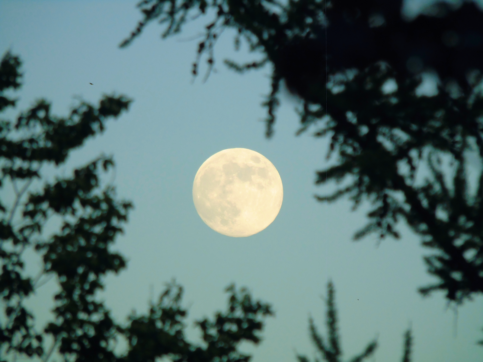 Освещенная часть луны. Фото Луны. Солнце освещает луну. Солнце подсвечивает луну. Луна в объективе.