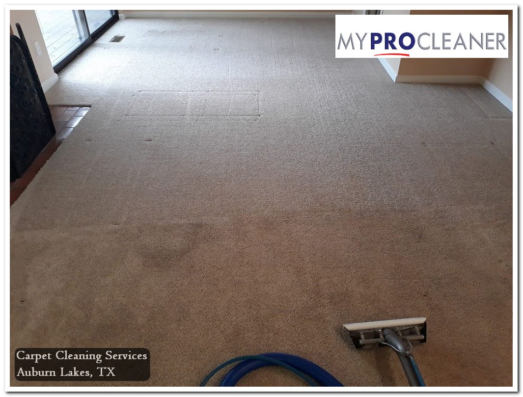 Carpet Cleaning Services