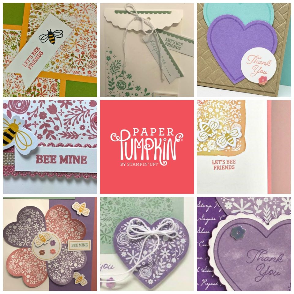 Paper Pumpkin Alternative Stampin Up! Monthly Card Kit Stamping with KD