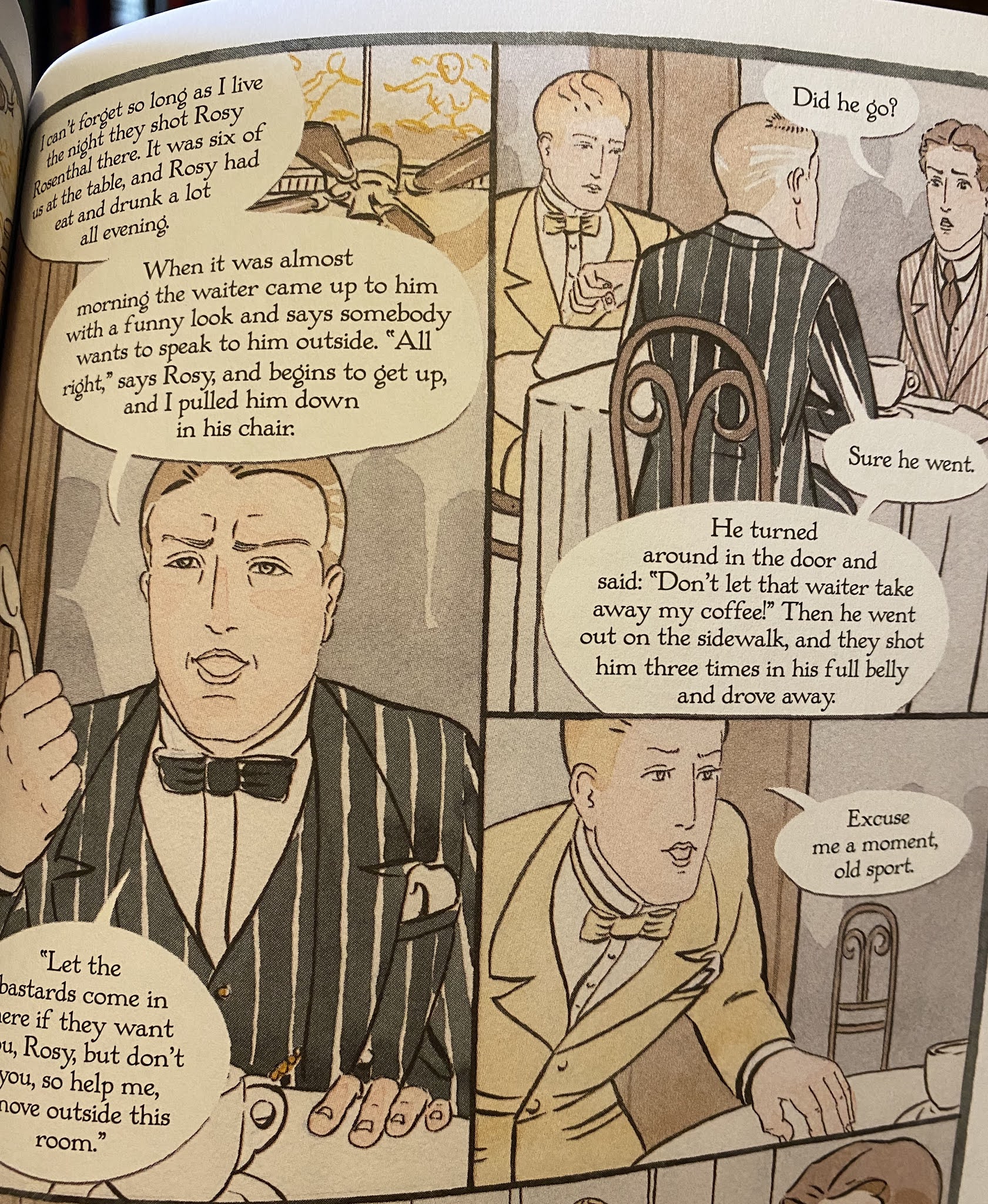 Mark My Words Book Review The Great Gatsby The Graphic Novel by F