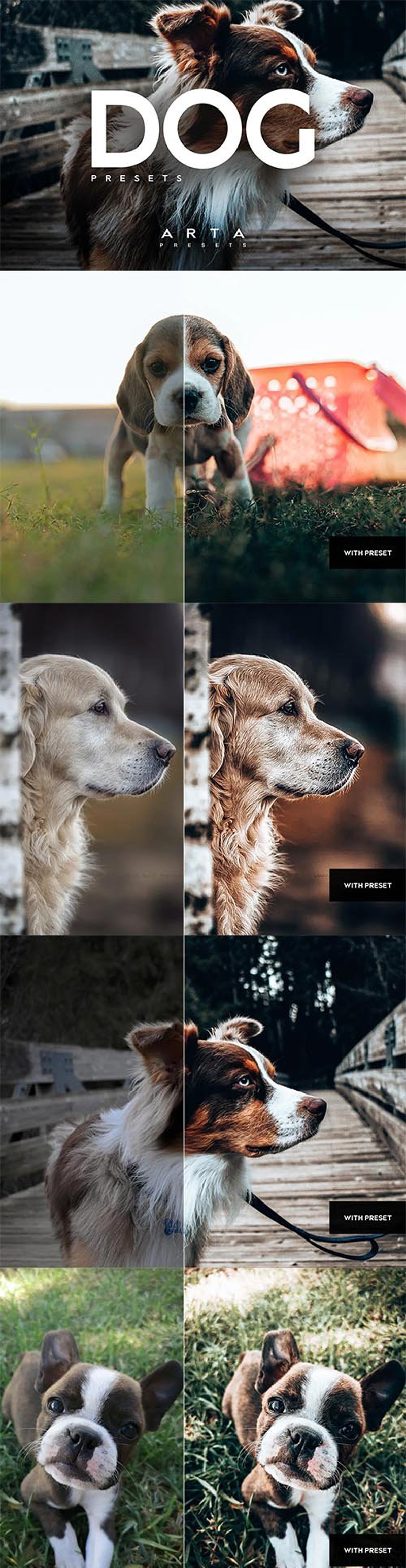 ARTA Dogs Presets For Mobile and Desktop 2 fryrt