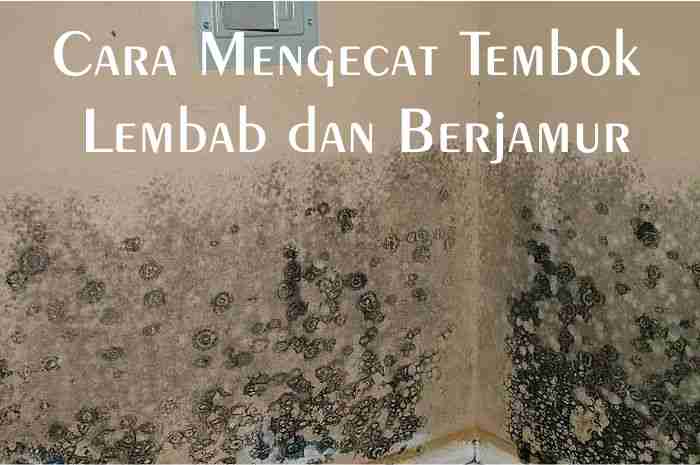 Cara Mengecat Tembok Yang Lembab Berjamur