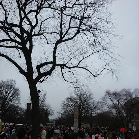 Photos from the Womens March Washington DC 