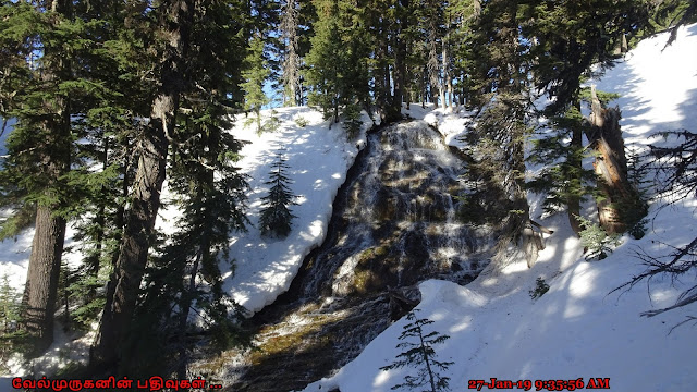 Umbrella Falls Mount Hood Oregon