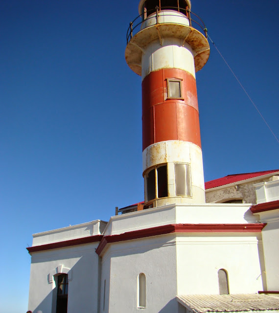 Punta Arenas, crucero por la Patagonia. Que hacer, a donde ir, que visitar