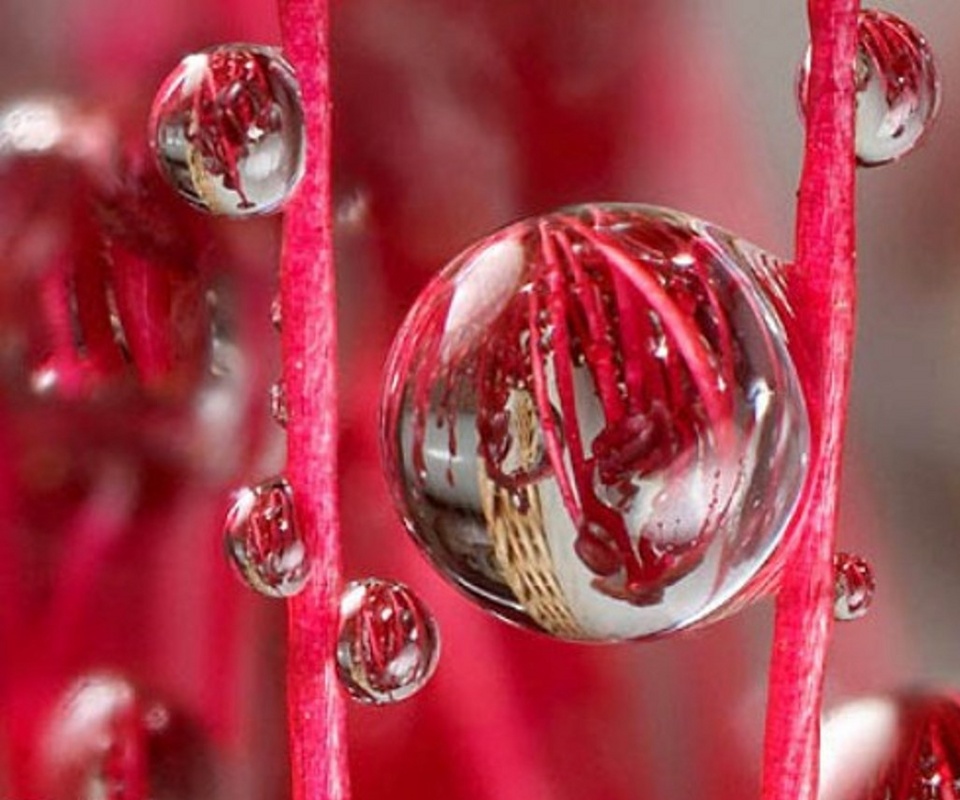 Free Mobile Wallpaper Download Free Wallpaper Samsung Infuse 4G