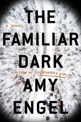 Review: The Familiar Dark by Amy Engel