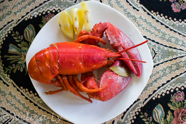 My Mama's Kitchen and Garden: Instant Pot Whole Lobster