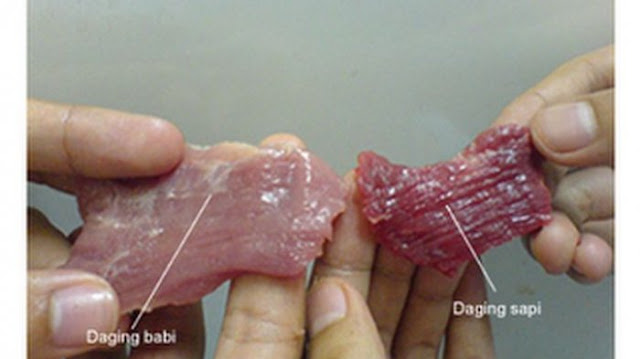 Sudah 6 Tahun Jualan Daging Sapi Dioplos Daging Babi, Pasangan Suami Istri Ini Ngaku Punya Banyak Pelanggan Tetap