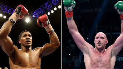 Welcome To Ladun Liadi's Blog: Joshua, Fury clash verbally agreed for May  or June