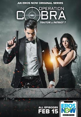 Operation Cobra 2019 Hindi Complete WEB Series 720p HEVC x265