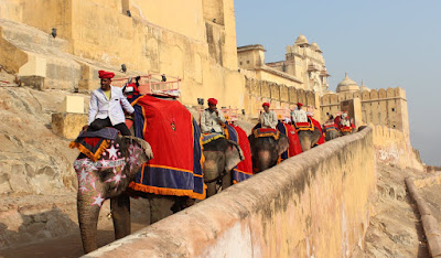 Elephant Ride in Amber Fort 