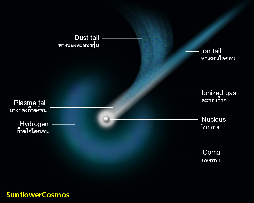 Nakshatra: Asteroids,Comets,and Meteoroids