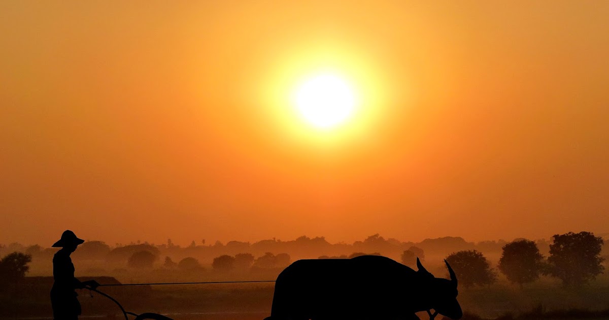 León Tolstói Iván el tonto resumen