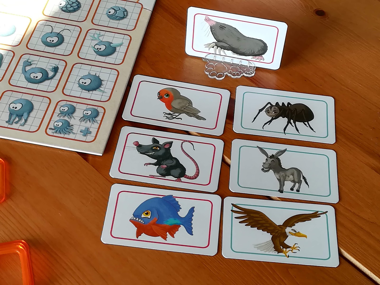 CONCEPT KIDS gioco da tavolo ANIMALI aiuta gli altri a indovinare IN  ITALIANO età 4+