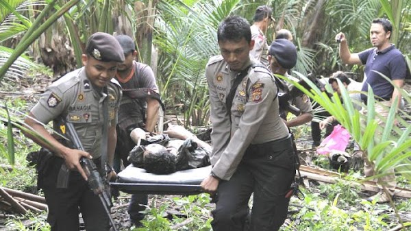 Kontak Senjata di Aceh, 4 Anggota KKB Tewas Ditembak Polisi