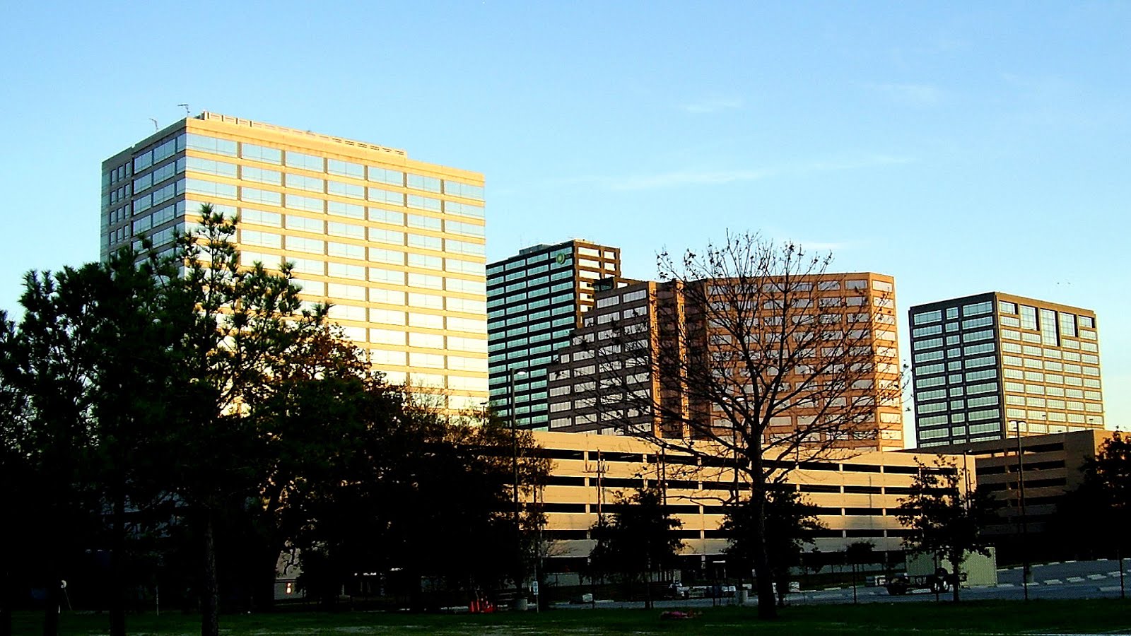 Enron Energy Companies Houston Energy Choices