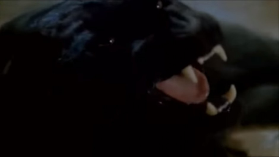 MANIMAL - SÉRIE COMPLETA (DUAL ÁUDIO/DVD-RIP) – 1983 4%2B%255BLargura%2BM%25C3%25A1x%2B2400%2BAltura%2BM%25C3%25A1x%2B1800%255D