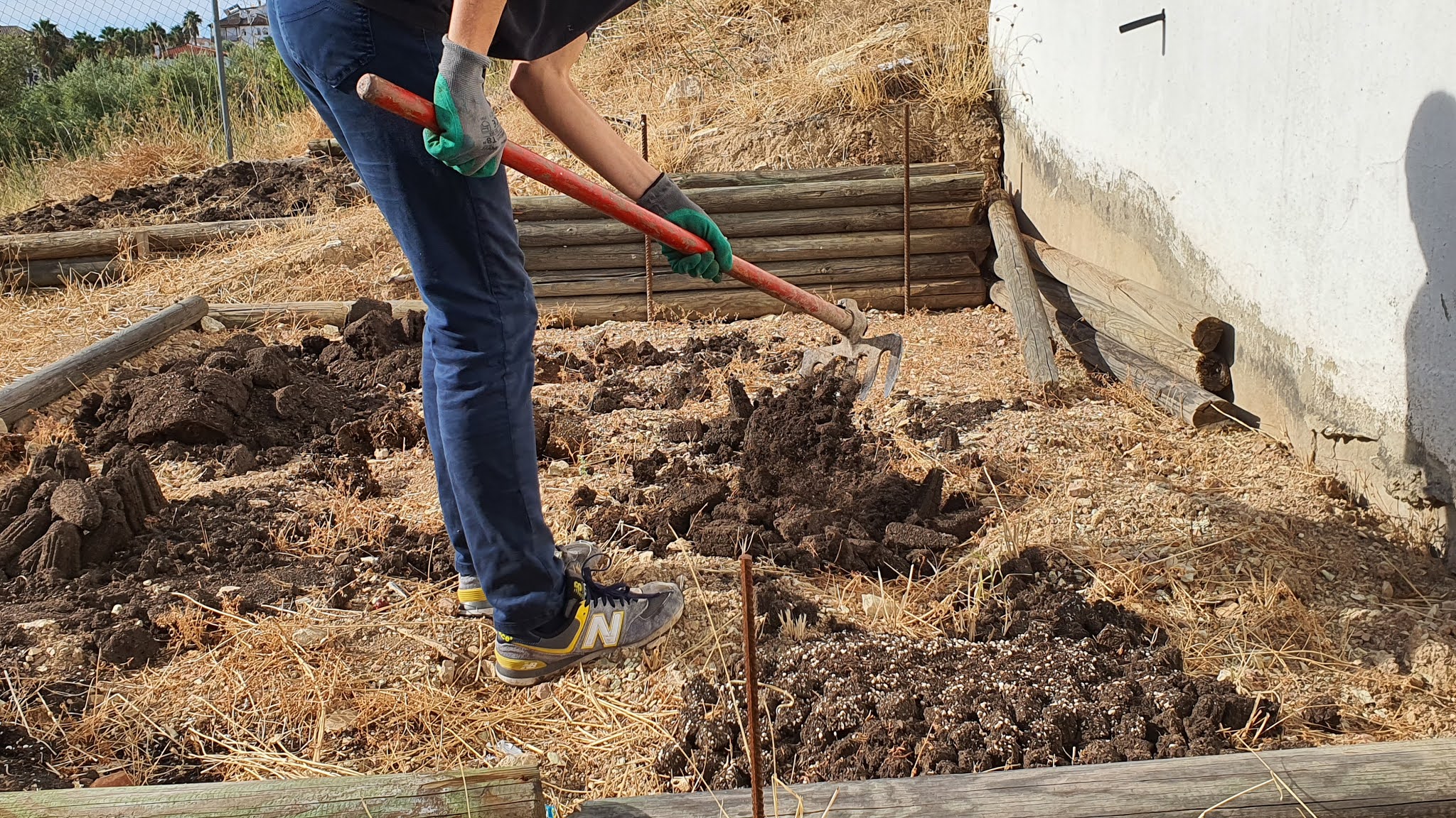 JORNADAS PUERTAS ABIERTAS ON LINE