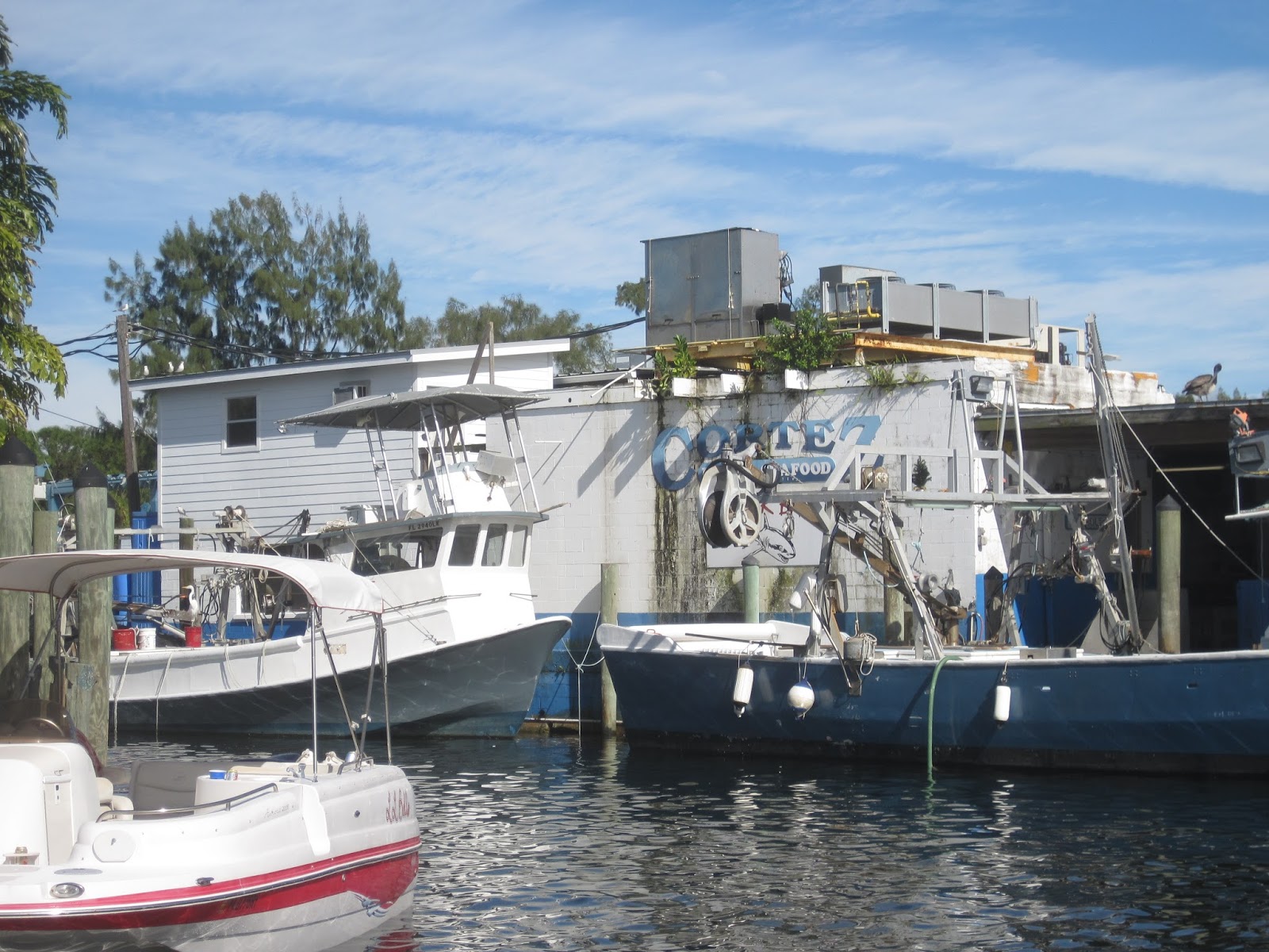 Boating with Sunset Delight Florida Anna Maria Island Cortez