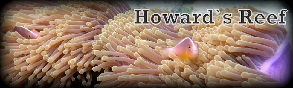 Howard`s Reef