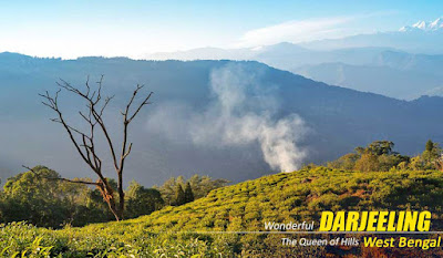 Darjeeling Tour Package from NatureWings