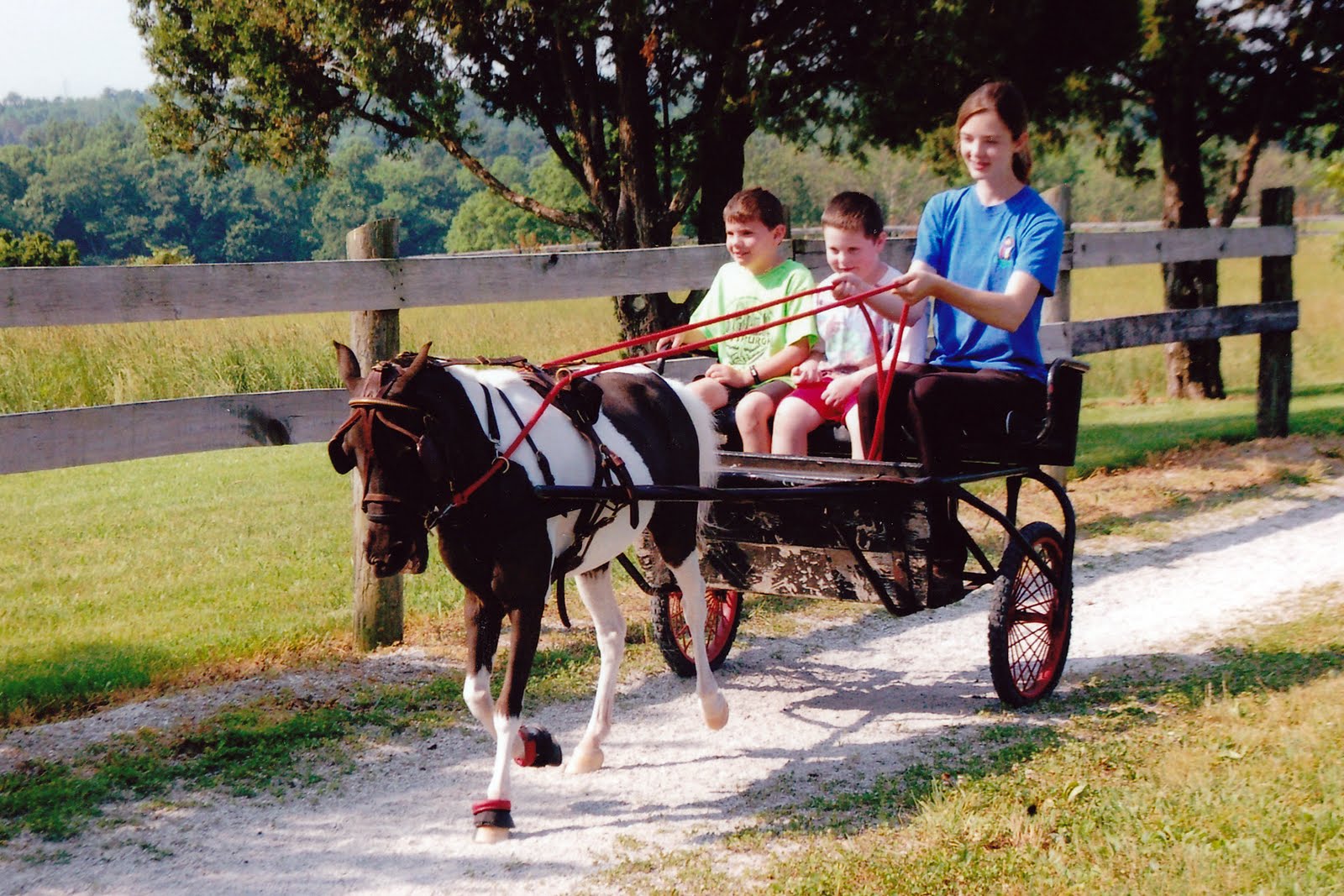 The Sky is the Limit Little Britain Pony Camp 2011