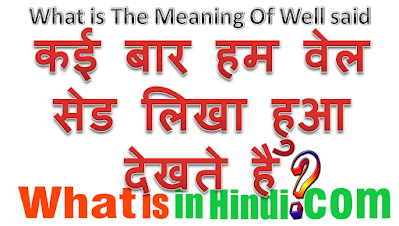 What is the meaning of well said in Hindi