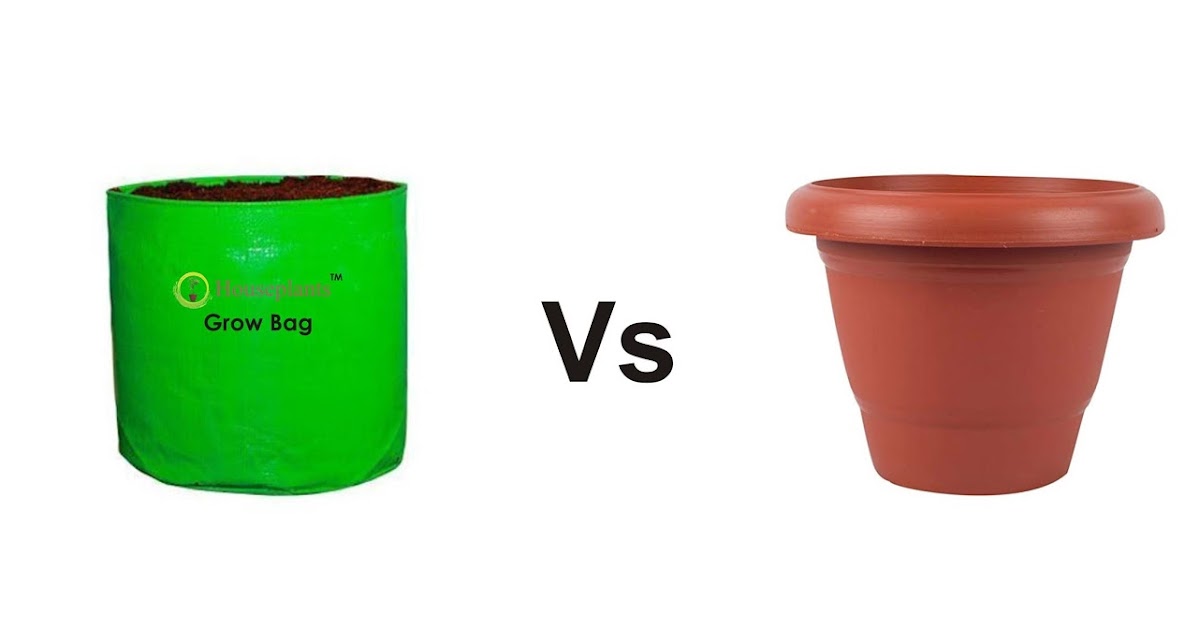 Grow Bags vs Plastic Pots Houseplants www.houseplants.co.in