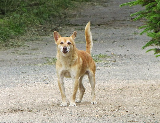 Głębock.