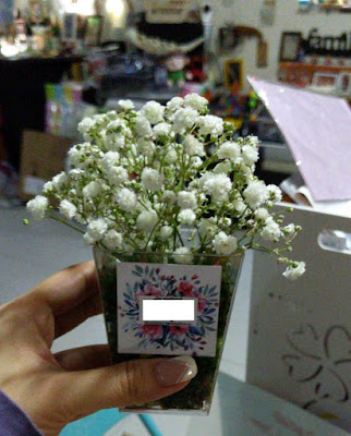 Babies breath flowers deco