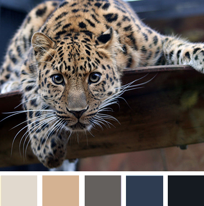 My Thread of Thought: Color Palettes I've Made