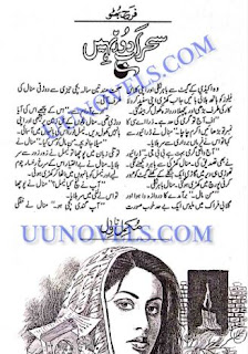 Mahrab Door Nahi Novel By Farah Bhutto Pdf File Download