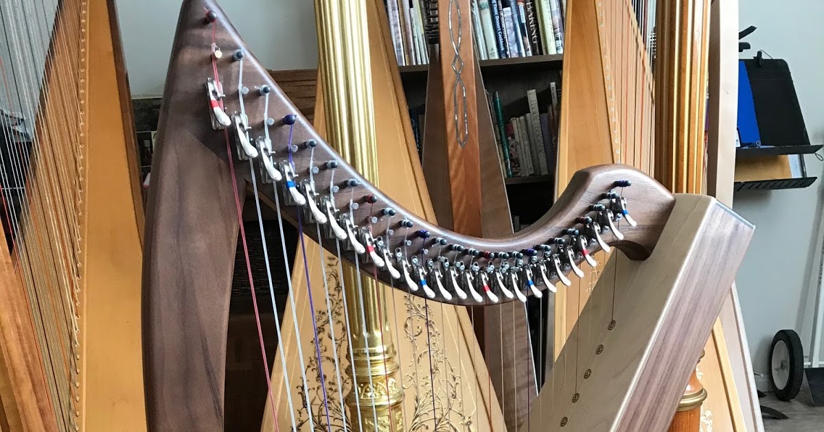 HARP IN LA HARP INFO 2 CHRISTINA THERAPY LEVER HARP (25) 09416