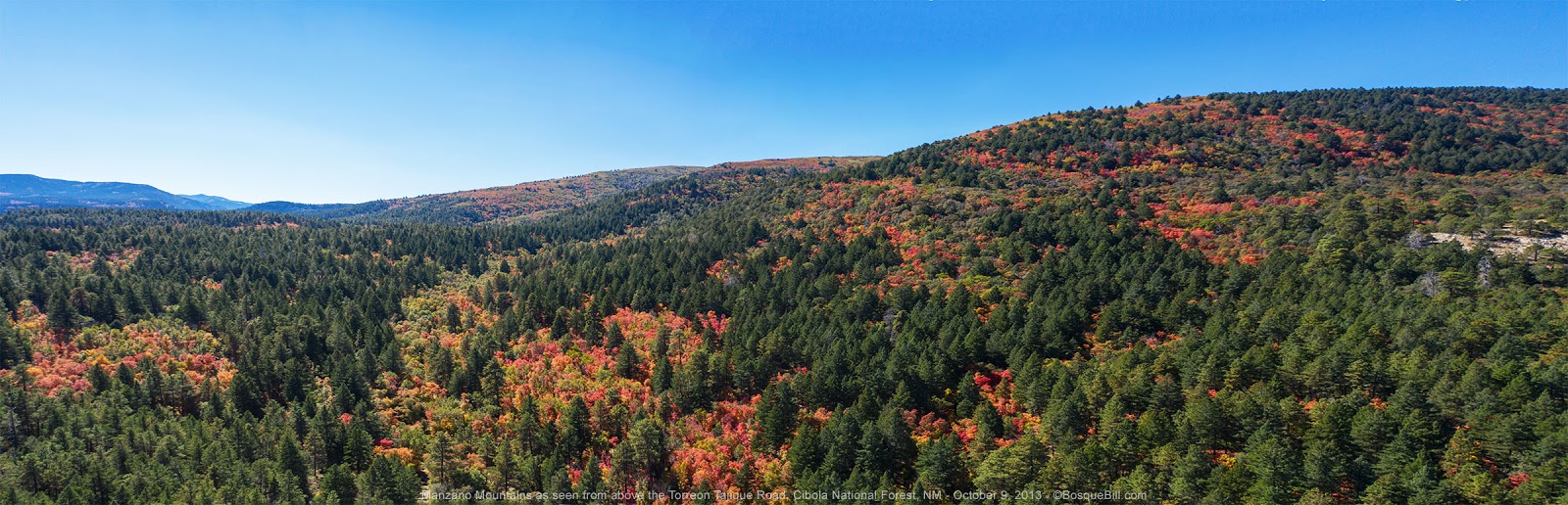 Bosque Bill's Backroads Red Maples of the Manzano Mountains, NM