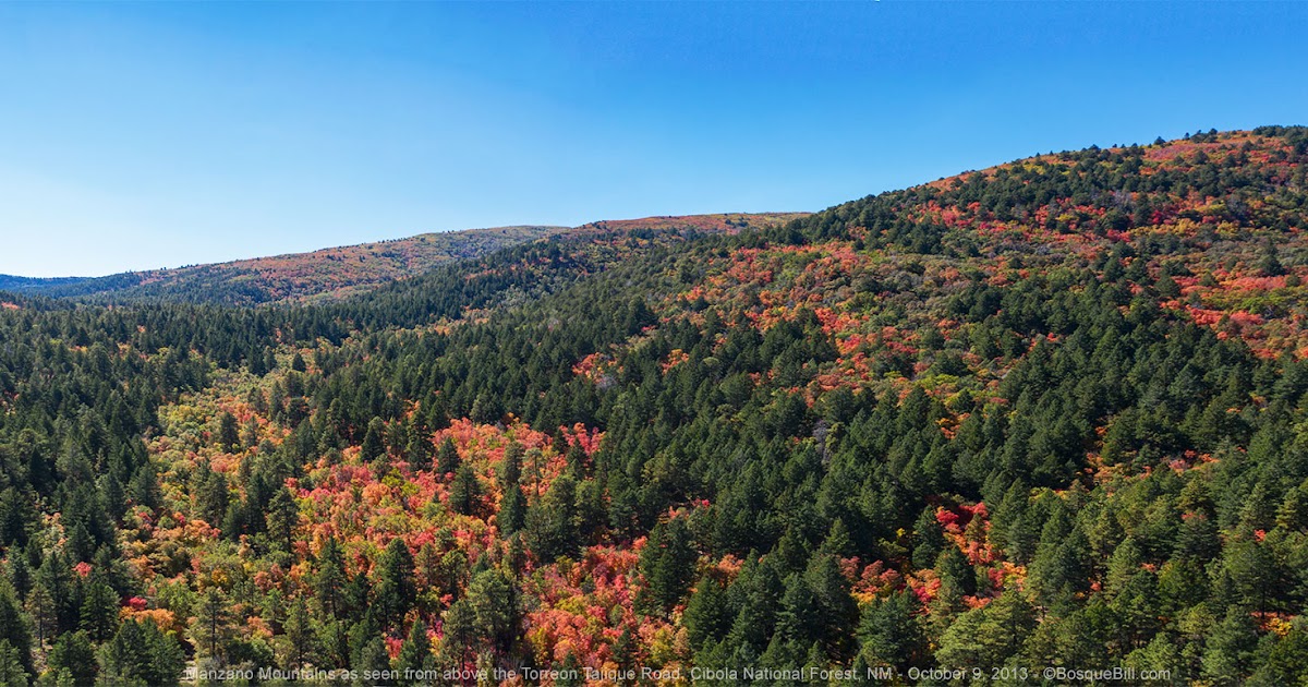 Bosque Bill's Backroads Red Maples of the Manzano Mountains, NM