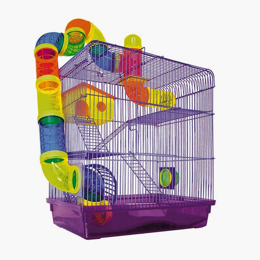 Quanto custa ter um hamster sírio? Querido Gerbil