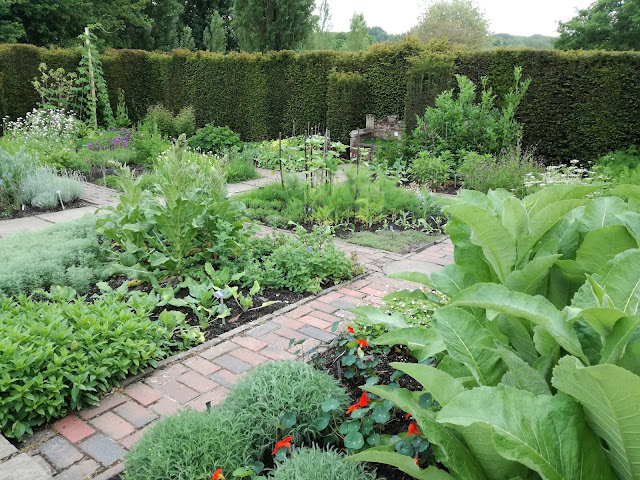 The Herb Garden