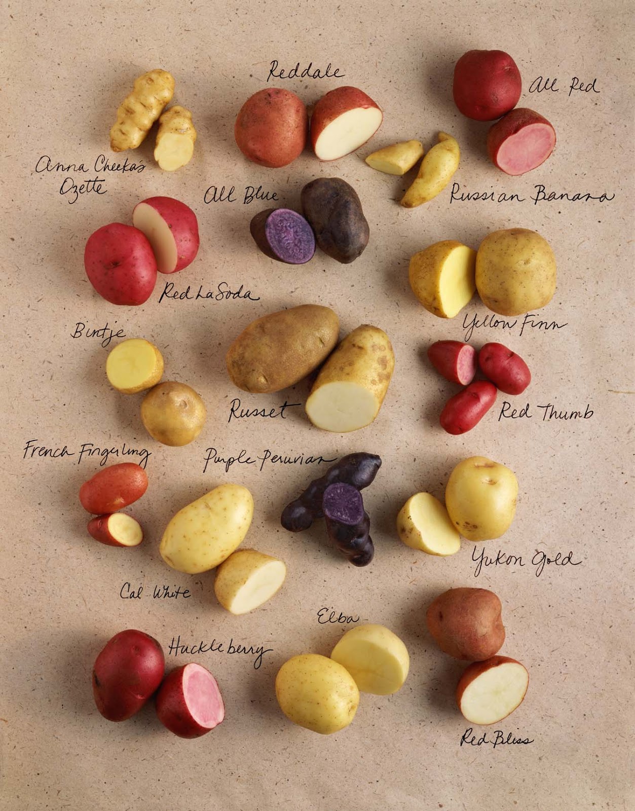 QUINTAIS IMORTAIS Greenvale AP guide to colourful potato varieties