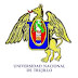 Ingresantes a la Universidad Nacional de Trujillo examen ordinario Marzo 2011