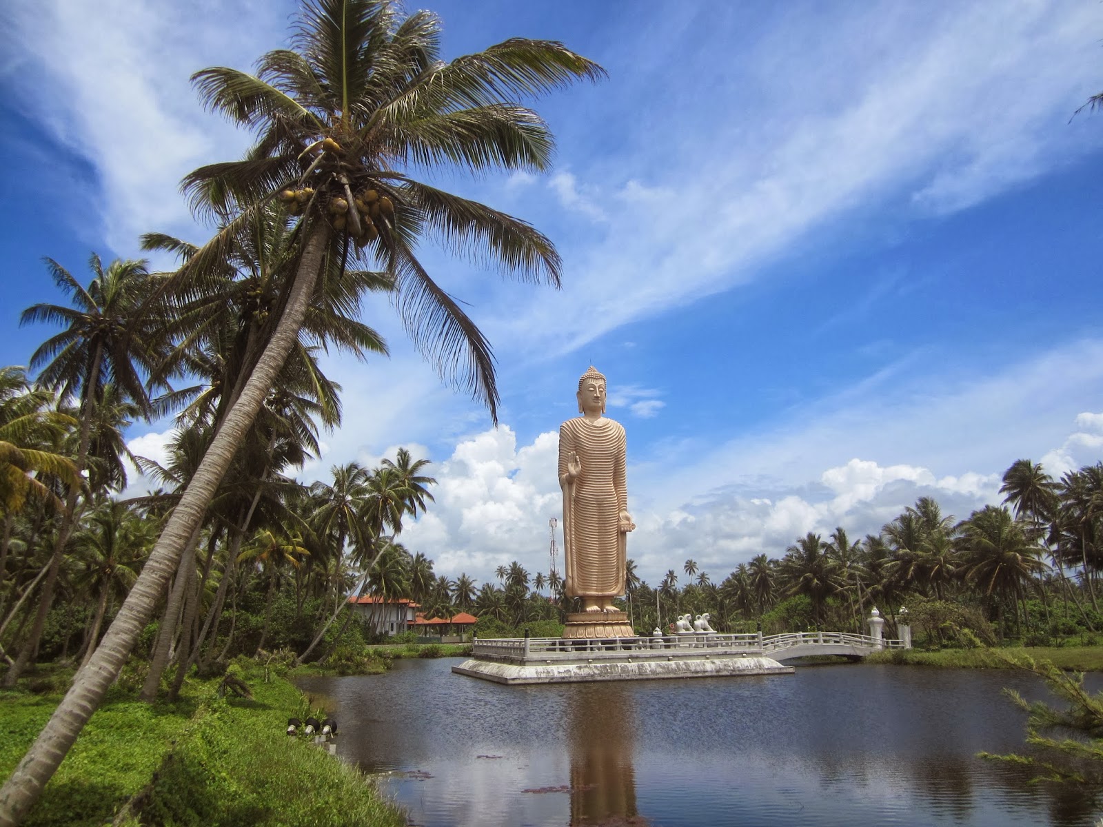 Angie Teaching Abroad: Abu Dhabi: Side Trip to Sri Lanka: Part One