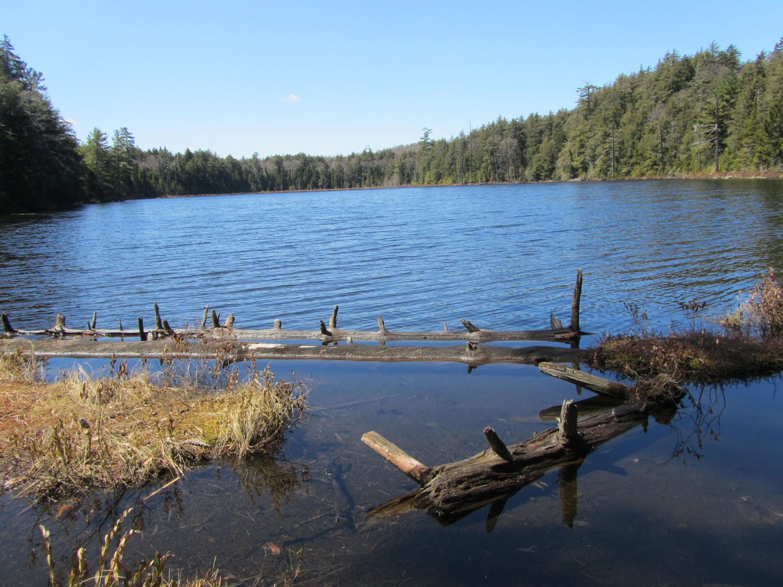 Tomcat's Outdoor Adventures Hiking the Floodwood Loop