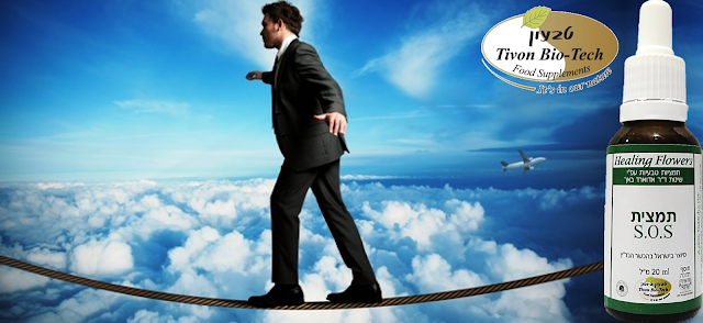 עוצמה הרגעה טבעון