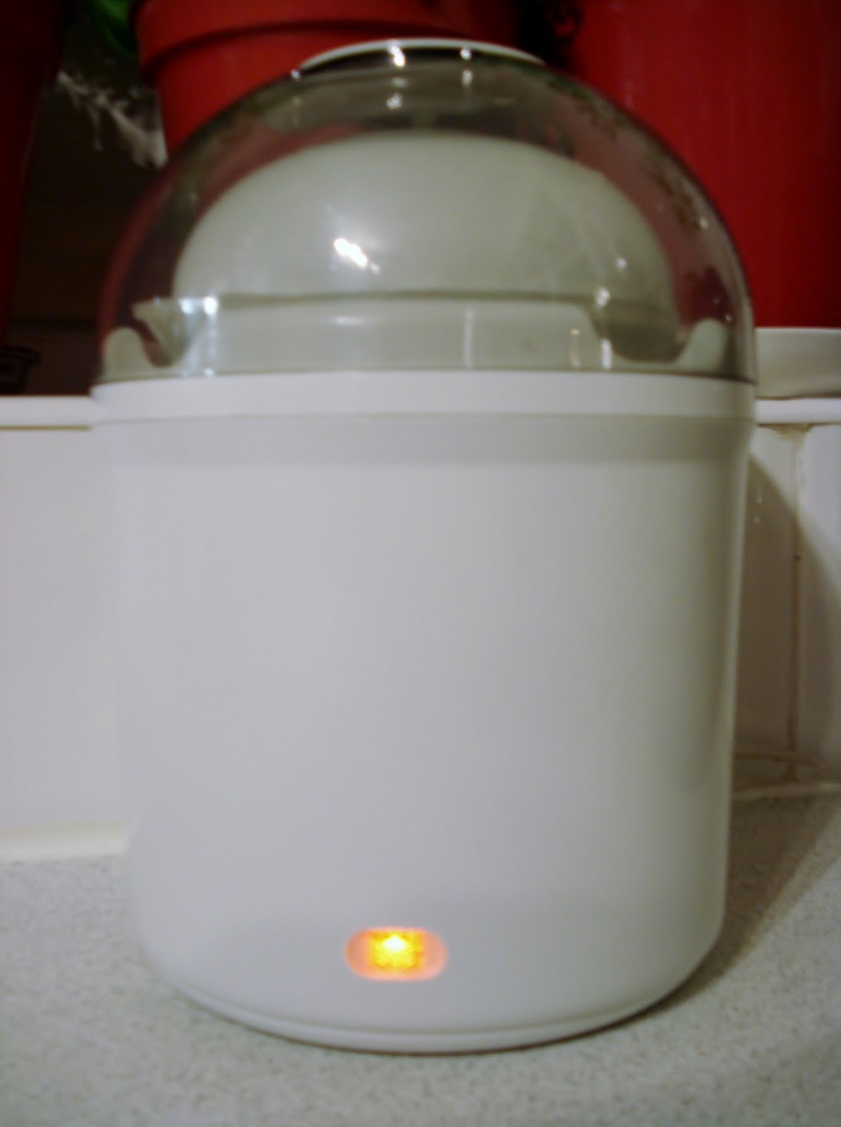 SCD Yogurt Gluten Free SCD and Veggie