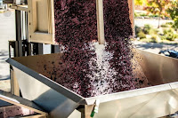 Wine Press - Vinyard - Photo by Nacho Domínguez Argenta on Unsplash